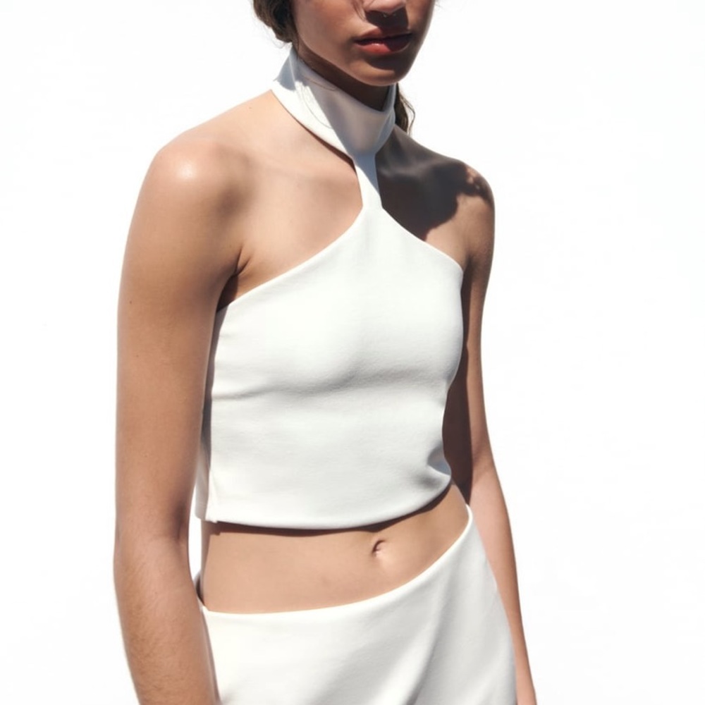 Zara Choker Crop Top
